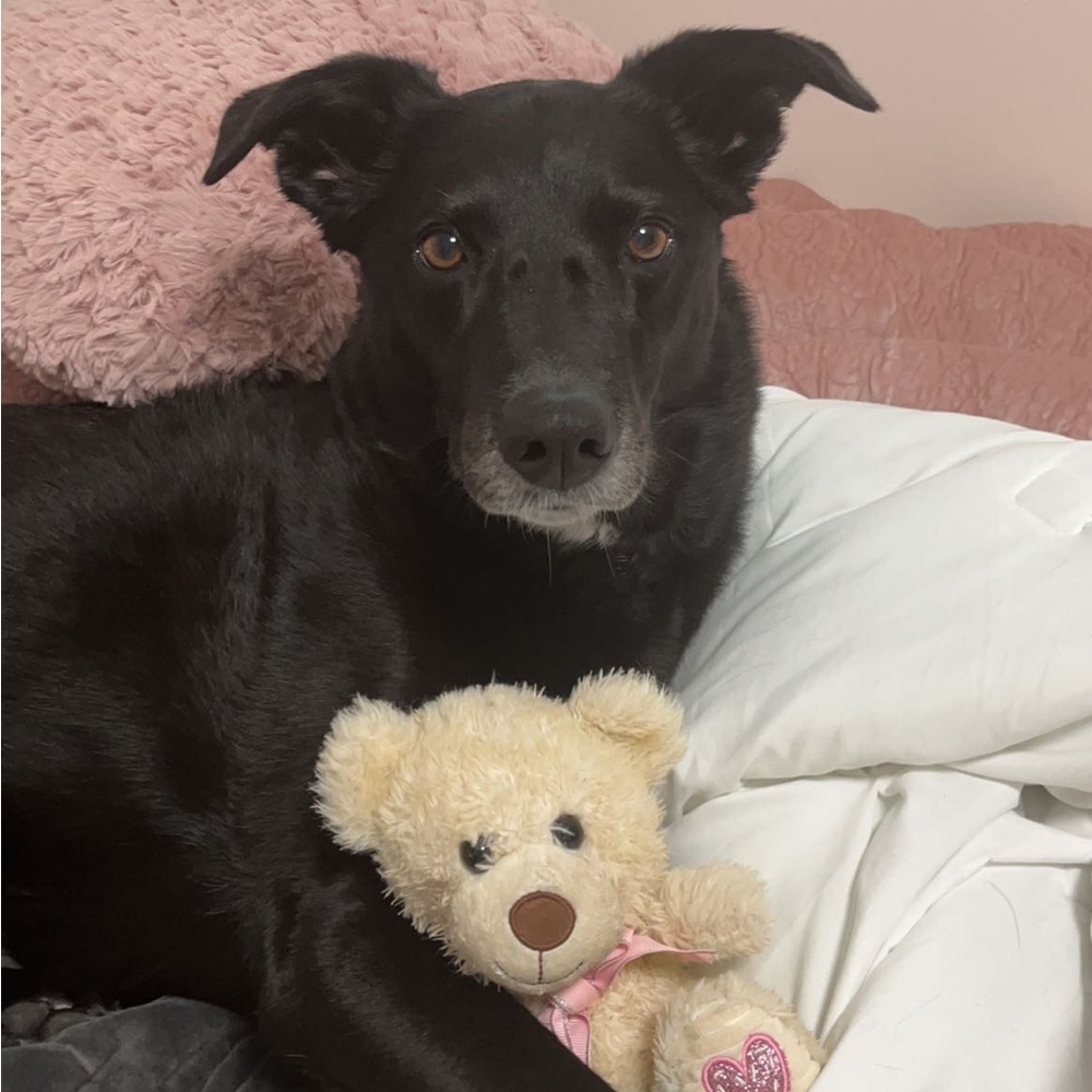 Meet your Posher, Haley